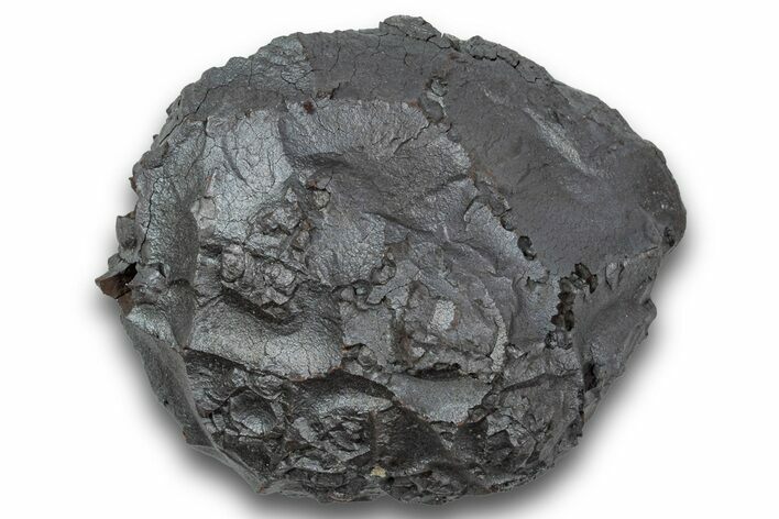 Dragon Scale Stone (Iron, Manganese, Siderite Nodule) #244966
